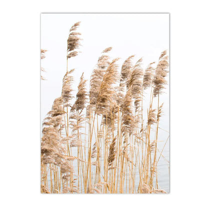 Modern Scenery Landscape Poster Coconut Reed Shell Beach Art Canvas Painting Palm Leaves Print Nordic Wall Pictures Home Decor