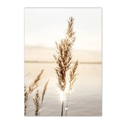 Modern Scenery Landscape Poster Coconut Reed Shell Beach Art Canvas Painting Palm Leaves Print Nordic Wall Pictures Home Decor