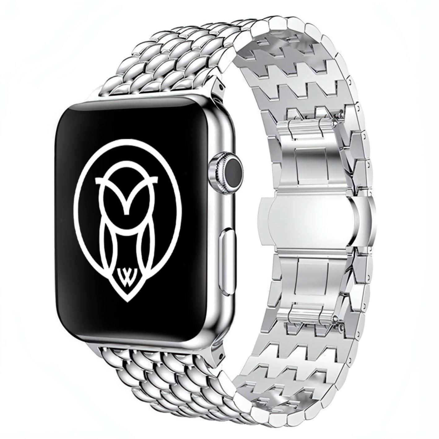 Arya Stainless Strap