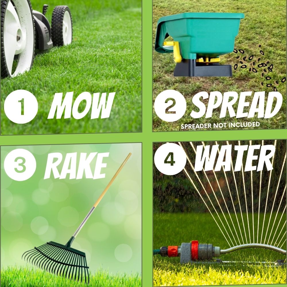 Micro Clover + Mow Less Grass Seed