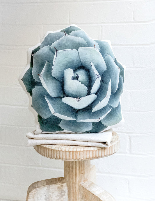 Agave Truncata Pillow, College Student Gift, Christmas Gift, Mother's Day Gift