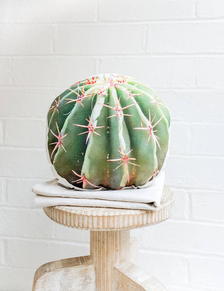 Barrel Cactus Pillow, College Student Gift, Christmas Gift, Mother's Day Gift