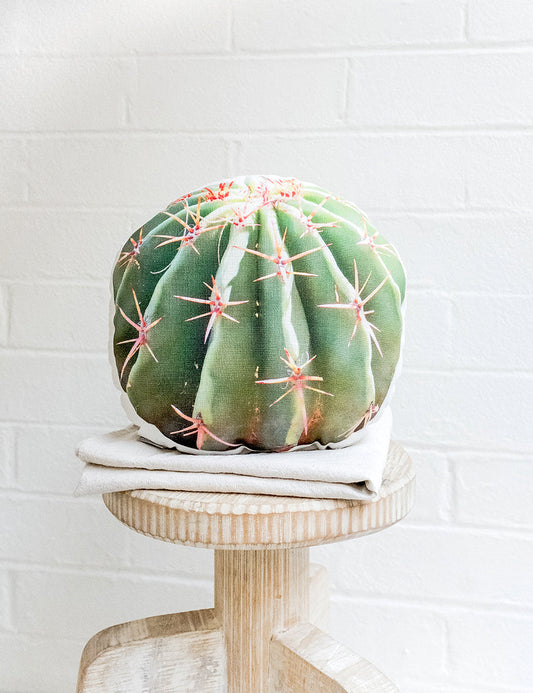 Barrel Cactus Pillow, College Student Gift, Christmas Gift, Mother's Day Gift