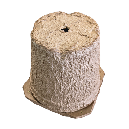 Swarm Trap - Pressed Flower Pot Style