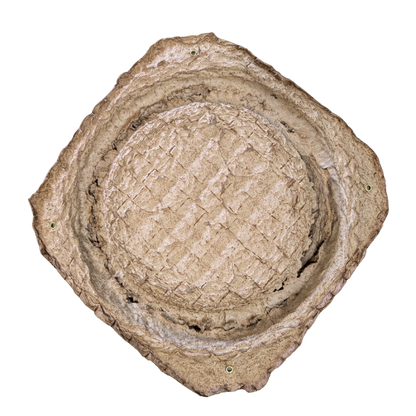 Swarm Trap - Pressed Flower Pot Style