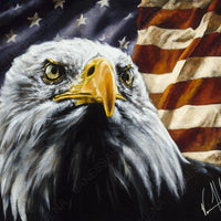 The Fight for Freedom