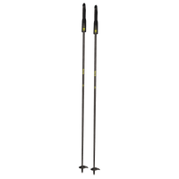 Ultra Carbon Pole