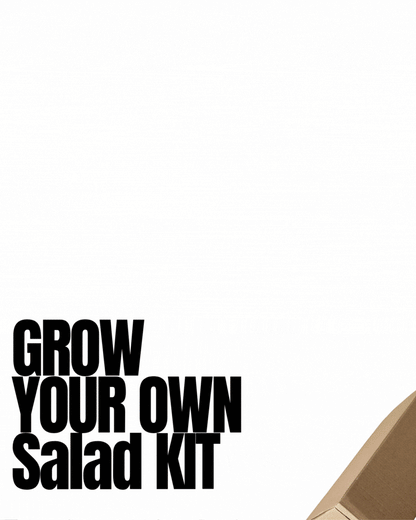 Grow your own Salad Kit