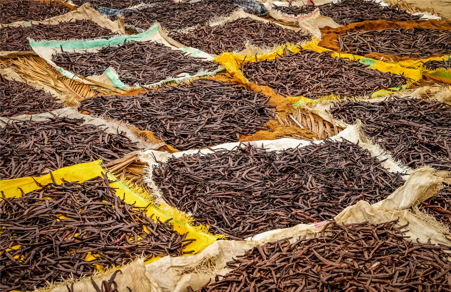 Mexican Vanilla Beans Whole Grade A Vanilla Pods - Veracruz Region