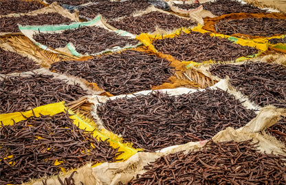 Mexican Vanilla Beans Whole Grade A Vanilla Pods - Veracruz Region