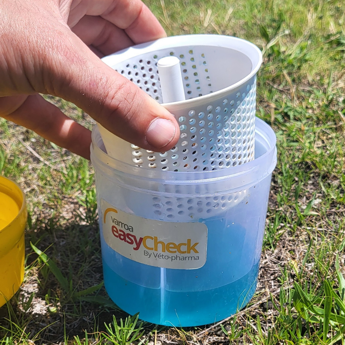 Varroa Easy Check