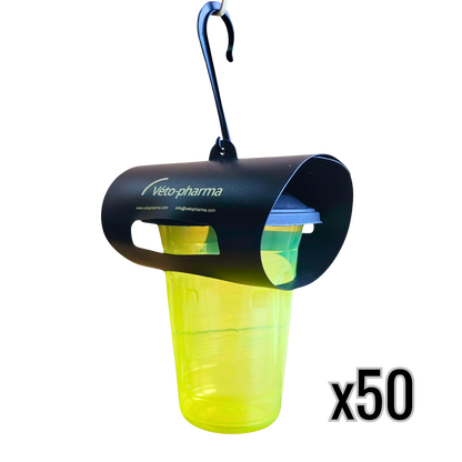 Vespa Catch: Asian Hornet Trap