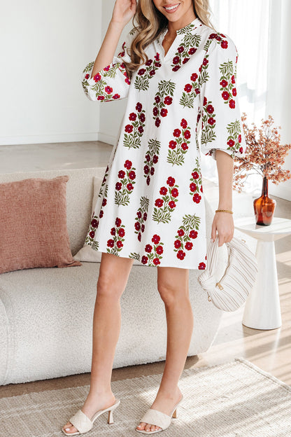 Catalina Sleeve Loose Mini Dress
