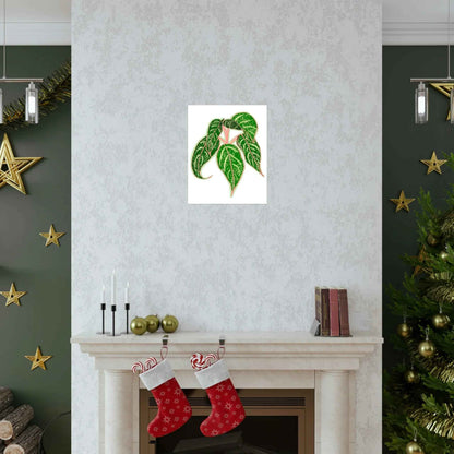Aglaonema Sparkling Sarah Botanical Print – Unframed Wall Art