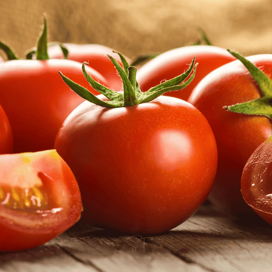 Ace 55 Tomato – 50 Seeds