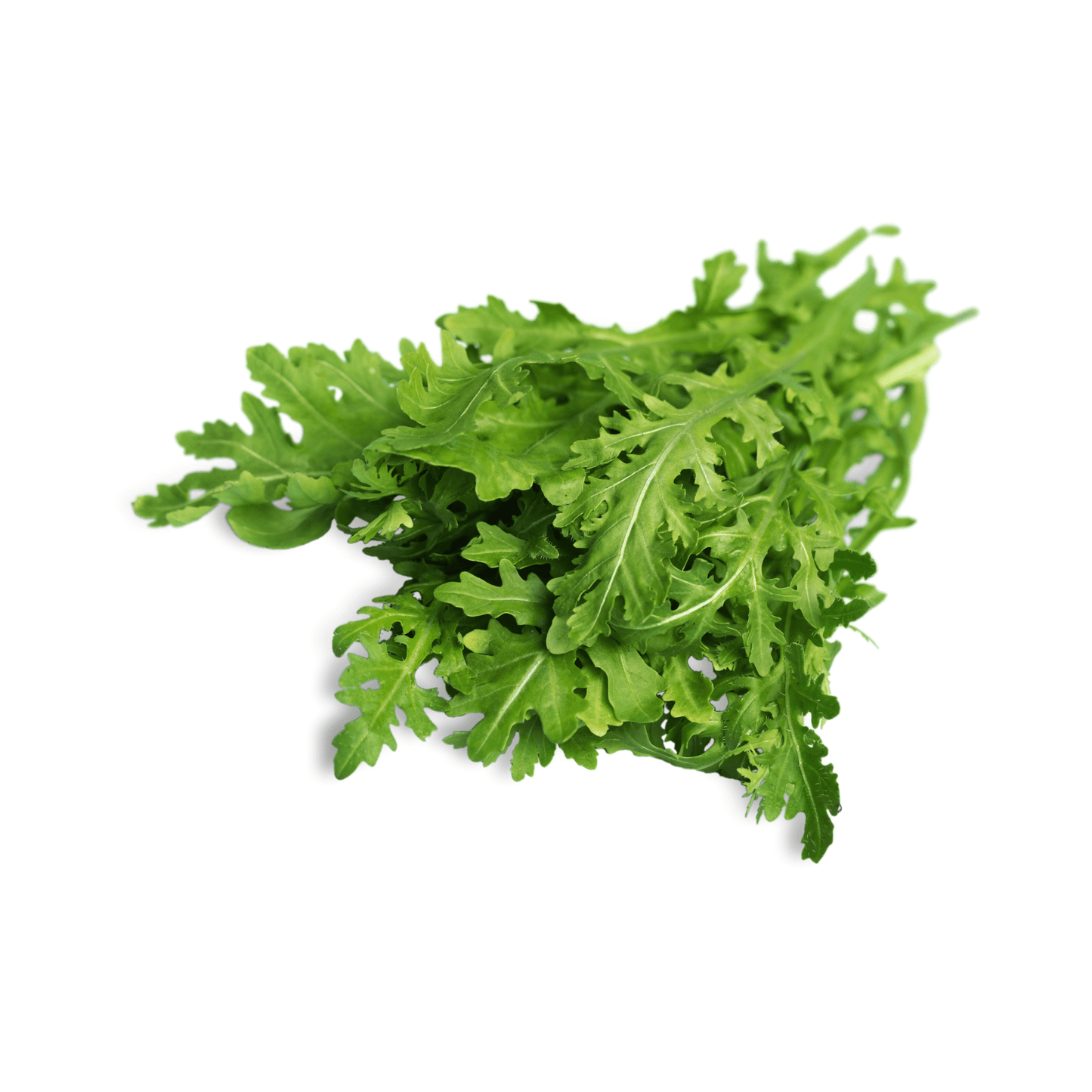 Arugula Seeds