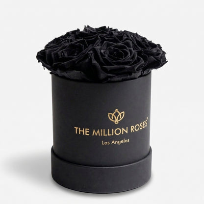 Essence Black Box | Black Roses