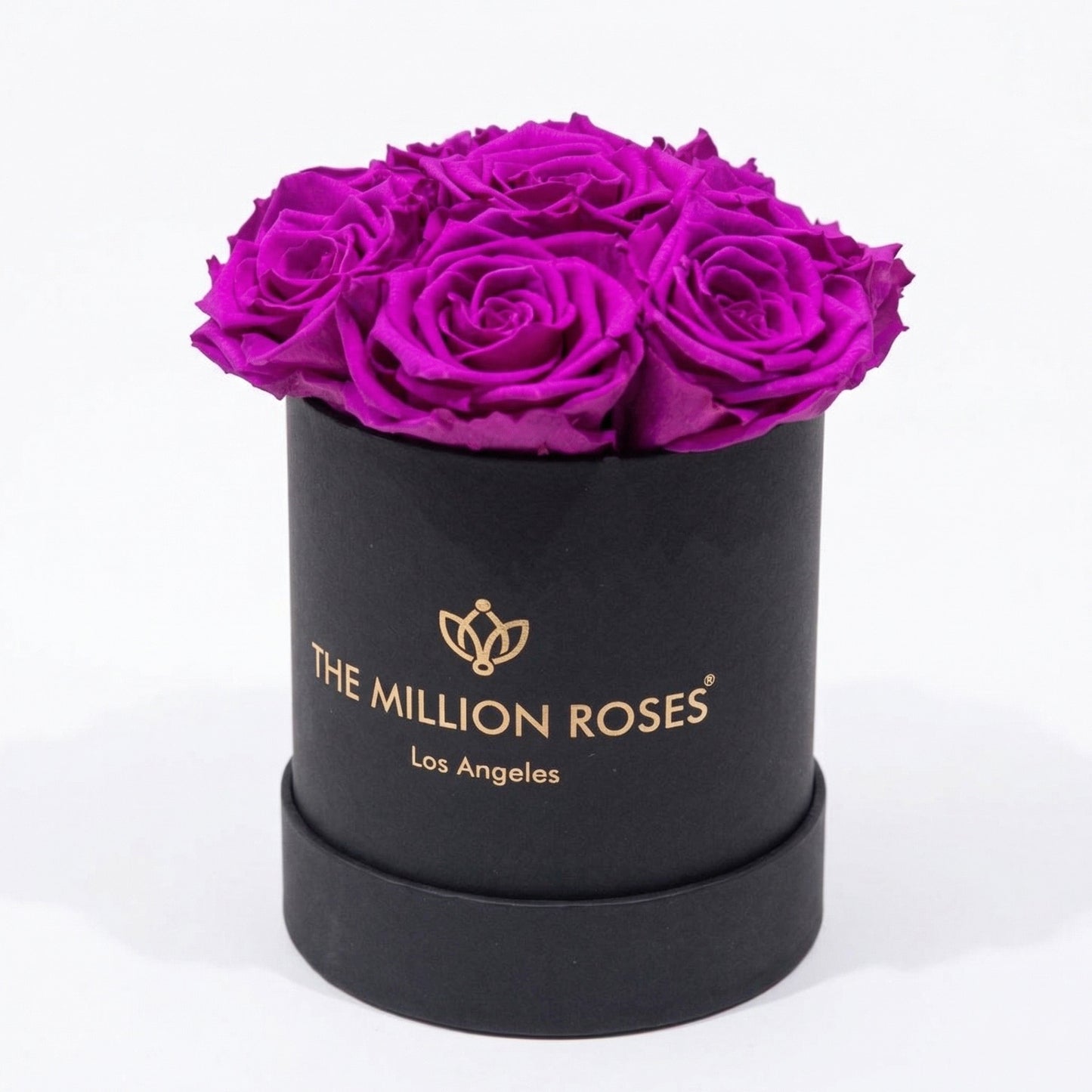 Essence Black Box | Bright Purple Roses