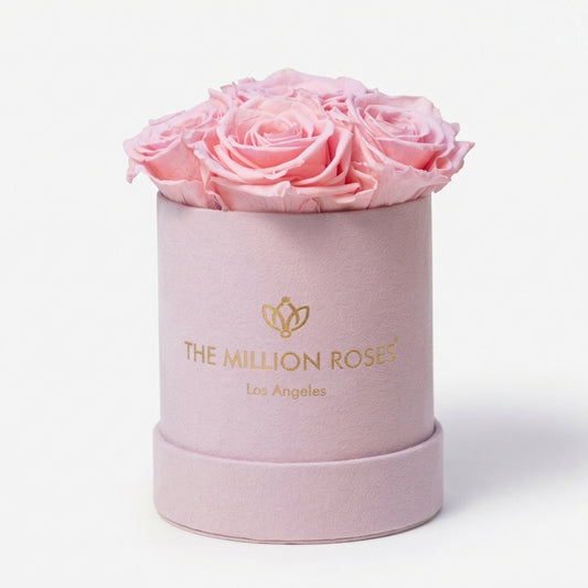 Essence Light Pink Suede Box | Light Pink Roses