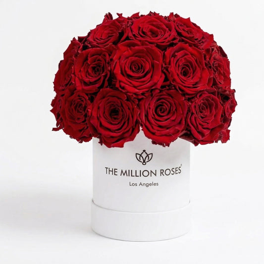 Essence White Superdome Box | Red Roses