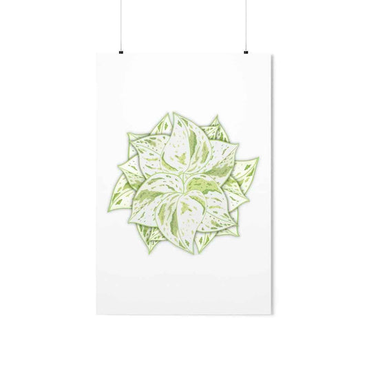 Snow Queen Pothos Botanical Print – Unframed Wall Art