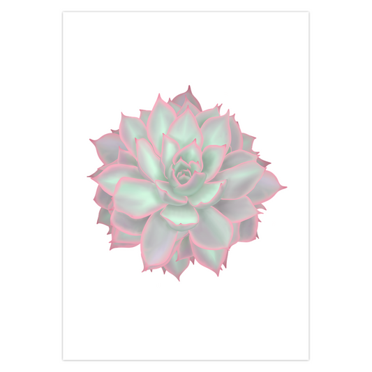 Echeveria Violet Queen Succulent Greeting Card – Blank Inside With Envelope