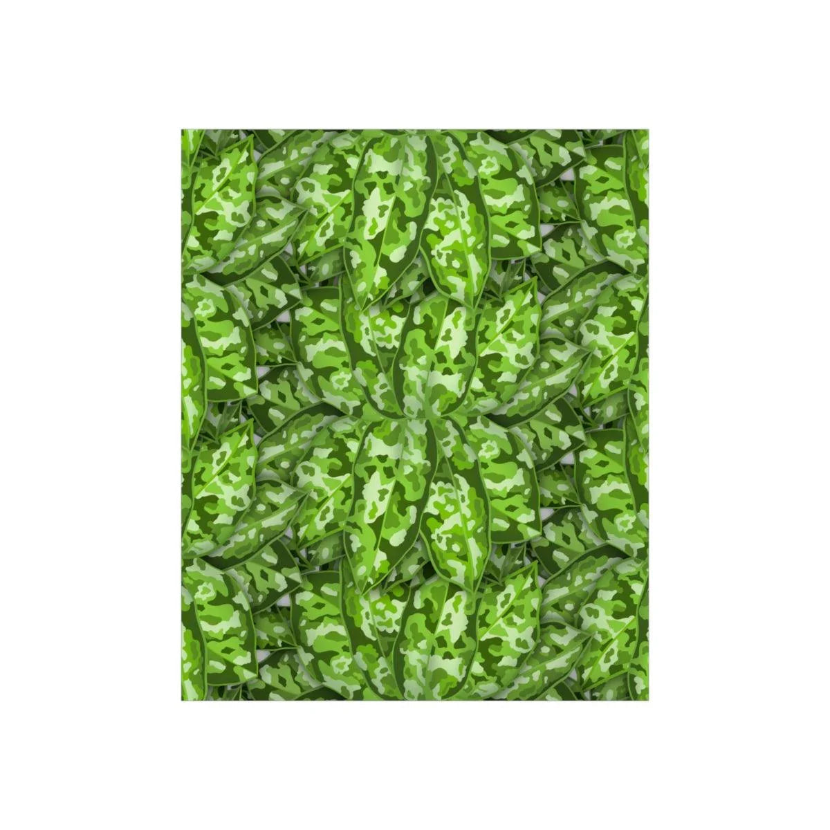 Aglaonema Pictum Botanical Print – Unframed Wall Art