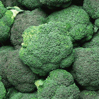 Hydra Broccoli Seeds