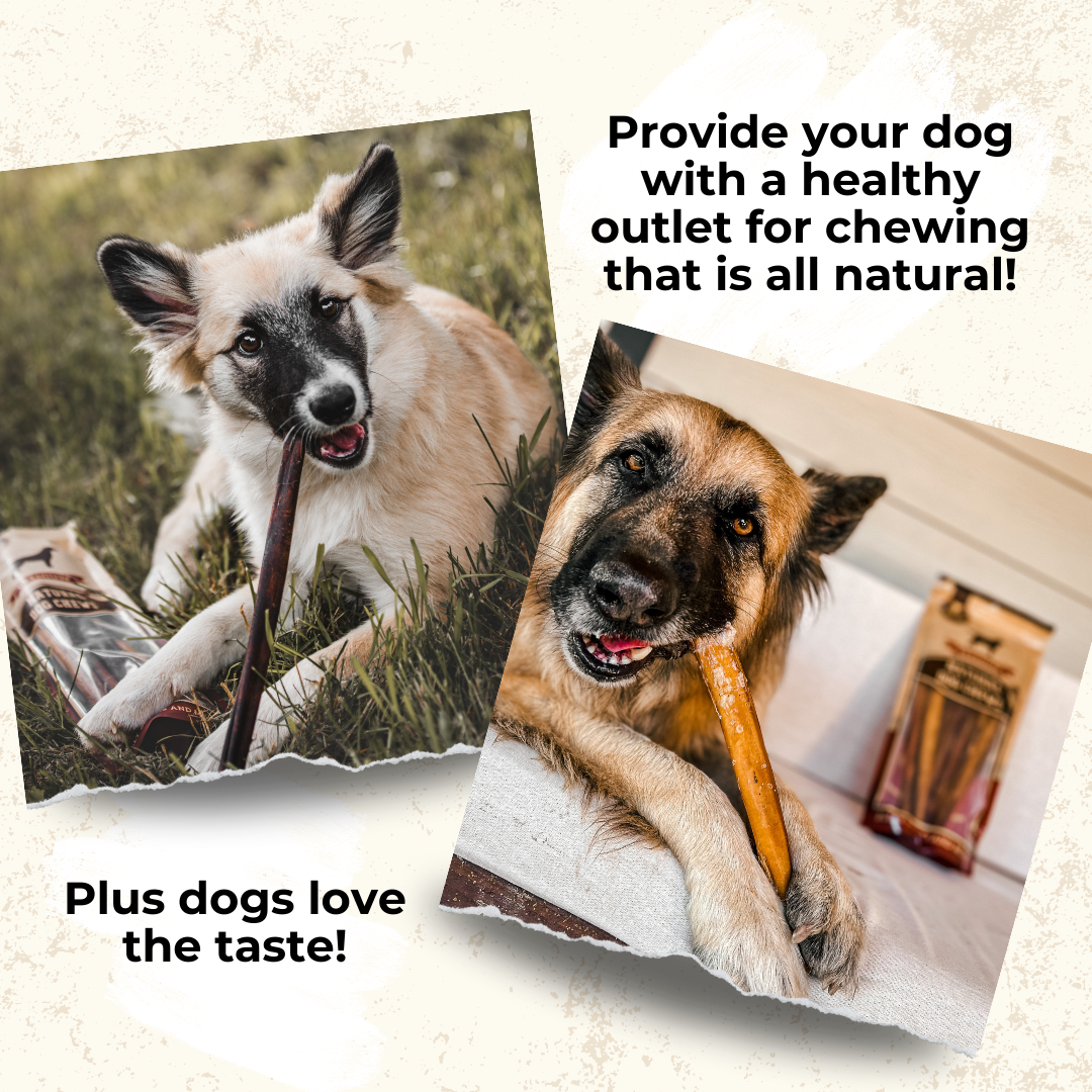 6 Inch Standard Bully Stick