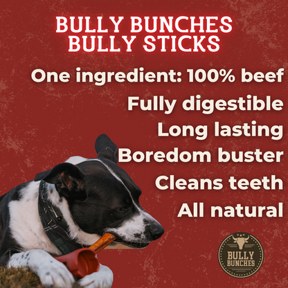 6 Inch Monster Braided Bully Stick