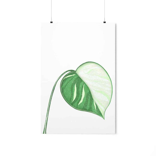 Monstera Albo Botanical Print – Unframed Wall Art