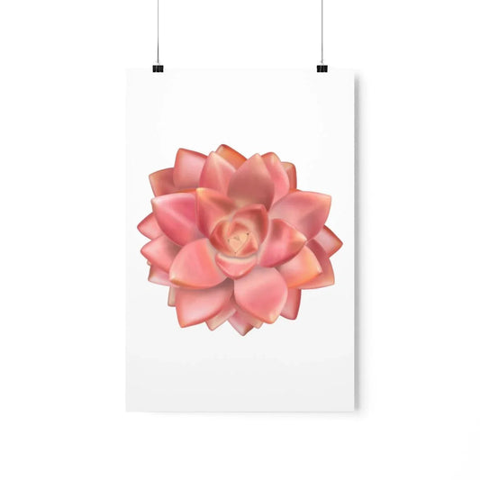 Graptosedum California Sunset Succulent Botanical Print – Unframed Wall Art