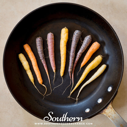 Rainbow Carrot – 100 Seeds