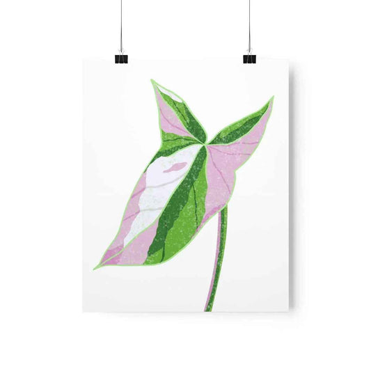 Syngonium Tricolor Botanical Print – Unframed Wall Art