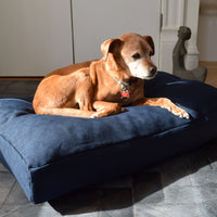 Premium Hemp Dog Bed - Organic Latex Foam Fill
