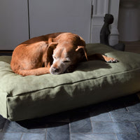 Premium Hemp Dog Bed - Organic Latex Foam Fill