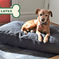 Premium Hemp Dog Bed - Organic Latex Foam Fill