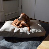 Premium Hemp Dog Bed - Organic Latex Foam Fill