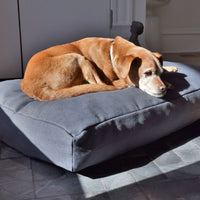 Premium Hemp Dog Bed - Organic Latex Foam Fill