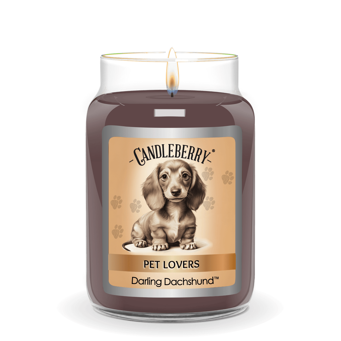 Darling Dachshund™ - Large Jar Candle (Collective)