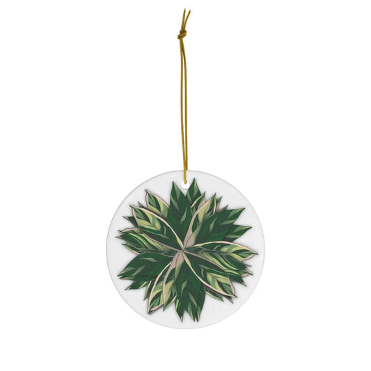 Stromanthe Triostar Ceramic Ornament