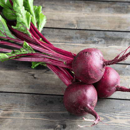 Detroit Dark Red Beet – 200 Seeds