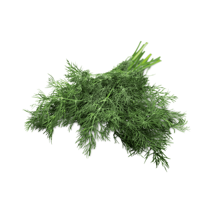 Hera Dill Seeds