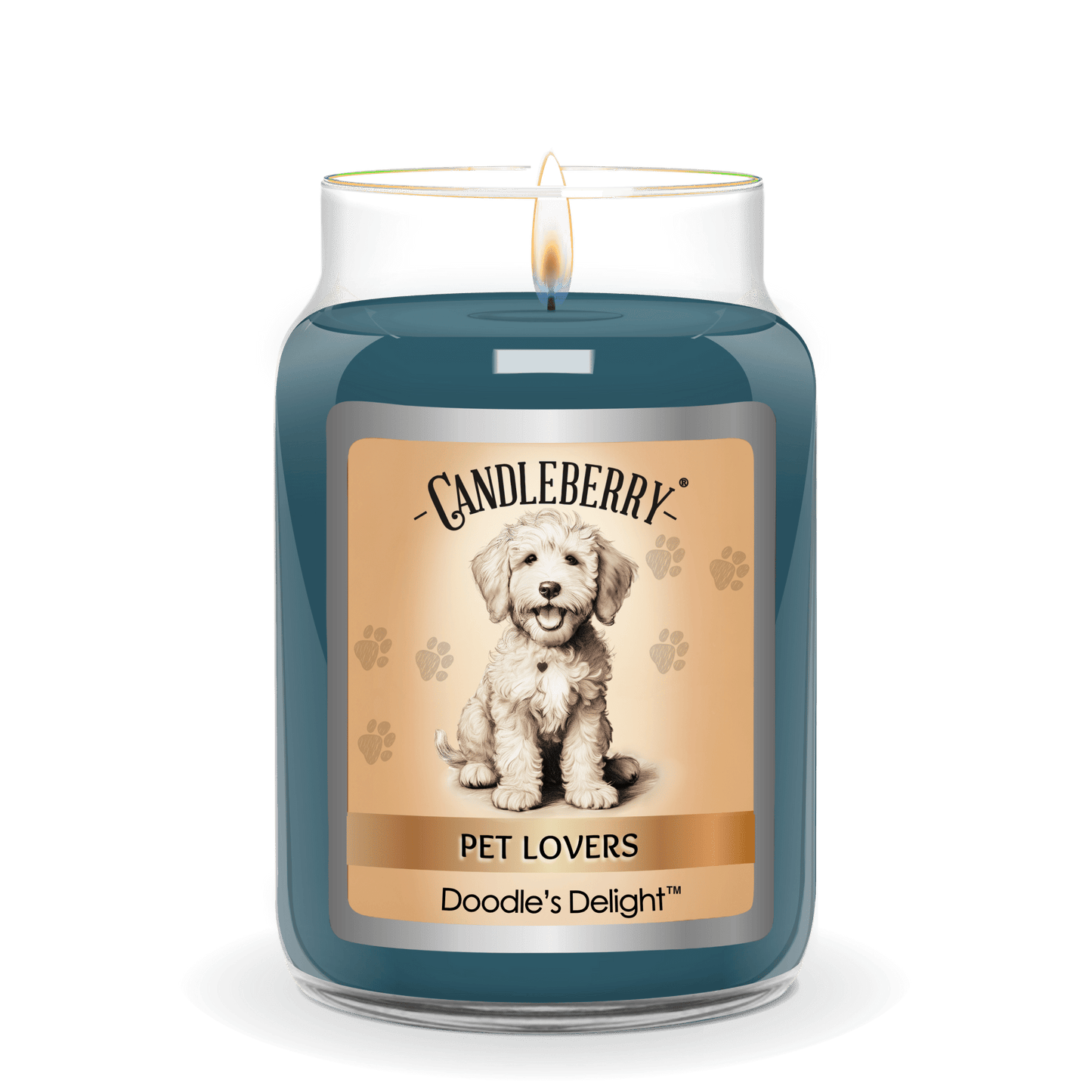 Doodle's Delight™ - Large Jar Candle (Collective)