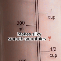 Pro+ Ice Crushing Portable Blender (17oz)