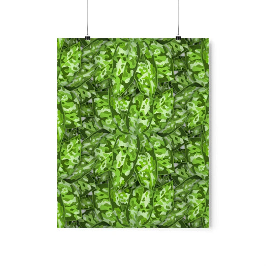 Aglaonema Pictum Botanical Print – Unframed Wall Art