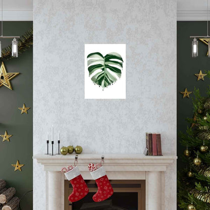 Melting Monstera Albo Botanical Print – Unframed Wall Art