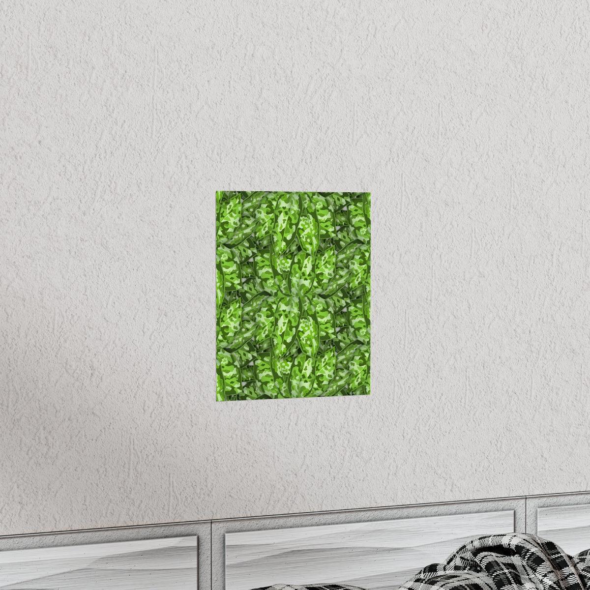 Aglaonema Pictum Botanical Print – Unframed Wall Art