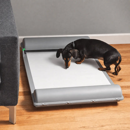 BrilliantPad Basic