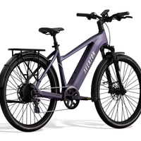 Aventon Level.3 E-Bike Step-Over